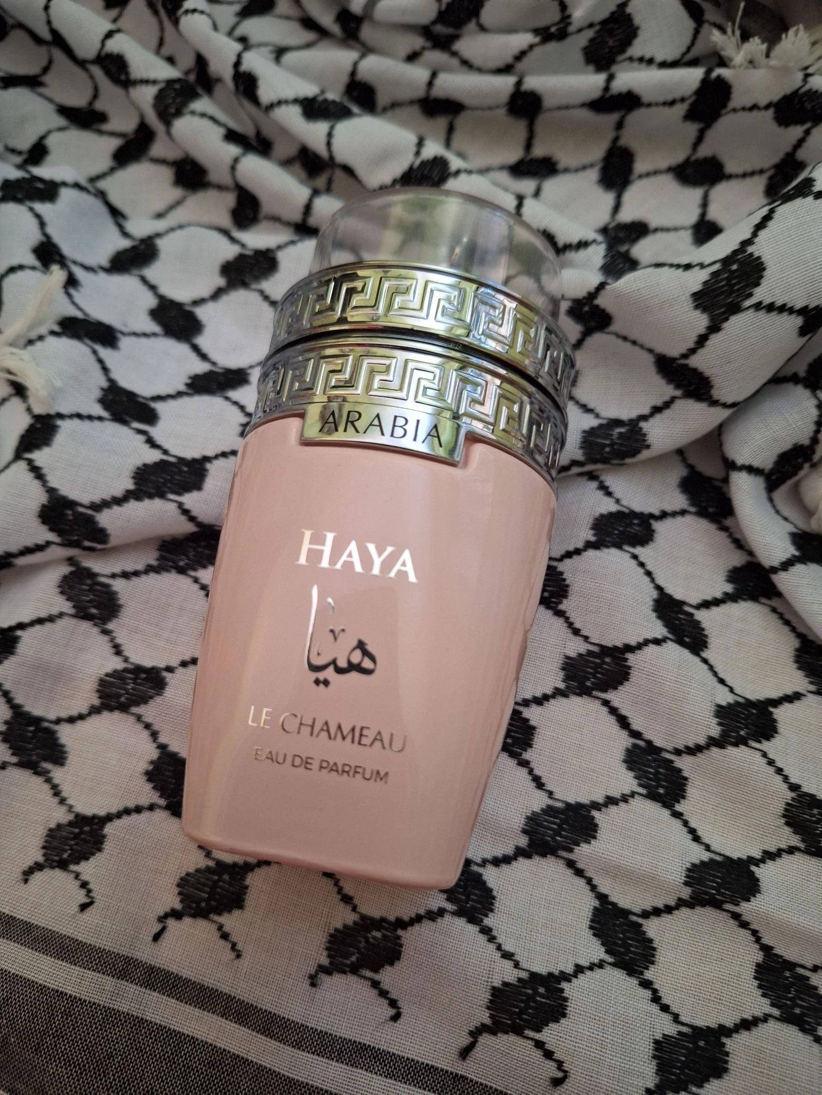 Arabia Haya – photo 7
